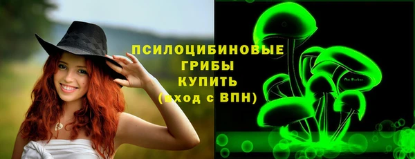 эйфоретик Няндома