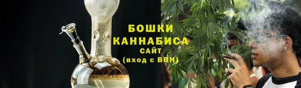 Альфа ПВП Аркадак