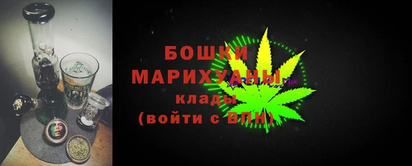 молекула духа Нягань
