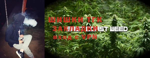 Альфа ПВП Аркадак